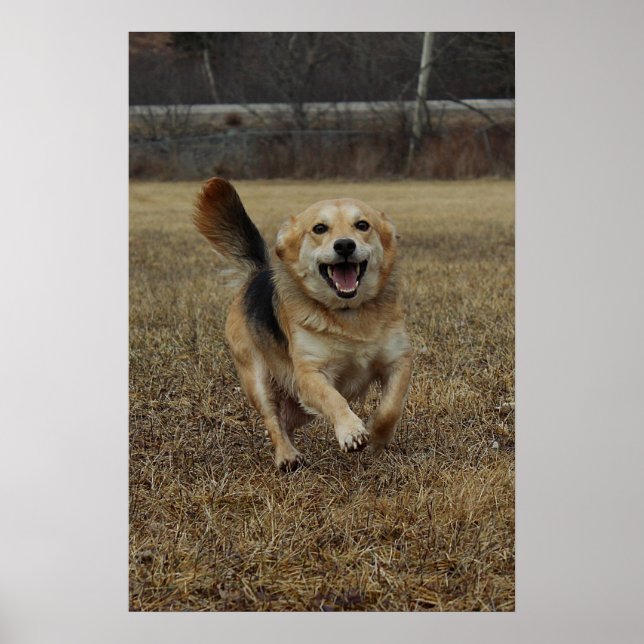 Poster Felicidade (Frente)