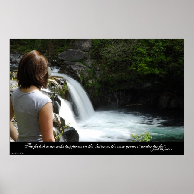 Póster Felicidade (Frente)