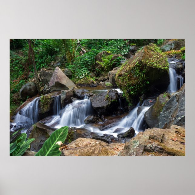 Poster Felicidade da Natureza (Frente)