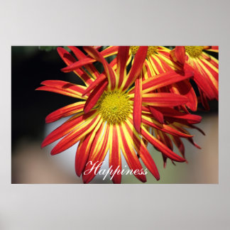 Póster Felicidade Motivacional