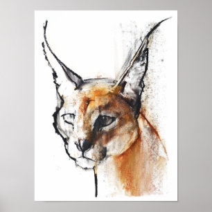Poster Felino