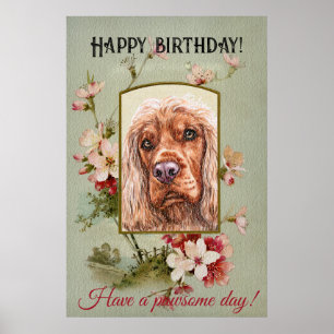 Poster Feliz Aniversário Saudações Inglês Spaniel