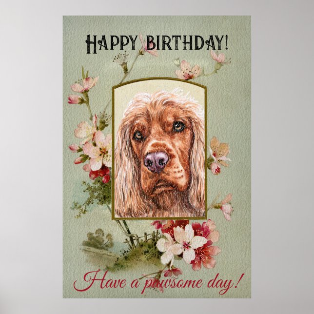 Poster Feliz Aniversário Saudações Inglês Spaniel (Frente)