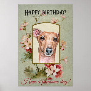 Poster Feliz Aniversário Saudações Italianas Greyhound
