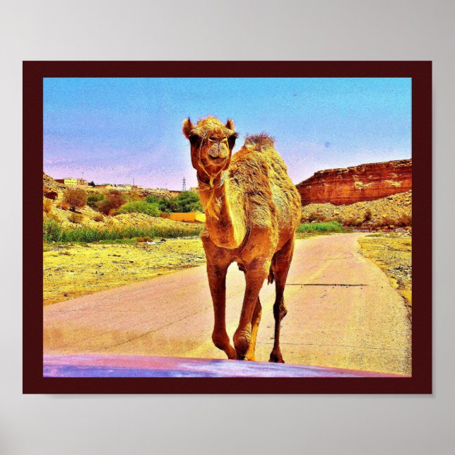 Poster Feliz Camel (Frente)