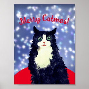 Poster Feliz Catmas