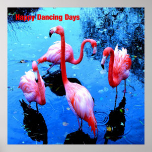 Póster Feliz dia de dança flamingos