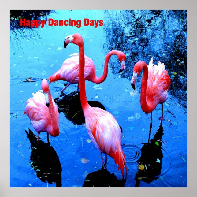 Póster Feliz dia de dança flamingos (Frente)