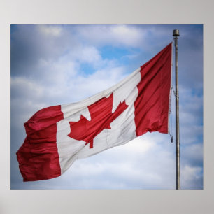 Poster Feliz dia do Canadá, Red e White Flag canadense