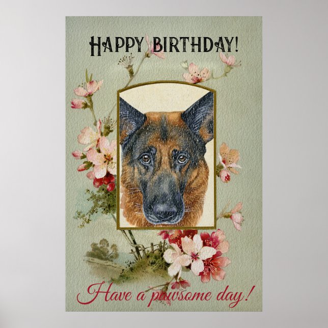 Poster Feliz German shepherd de Saudações de Aniversário (Frente)