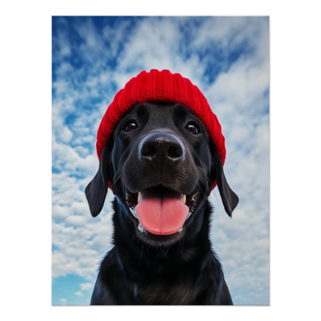 Póster Feliz Labrador em um Red Beanie Sob um Céu Azul (Frente)
