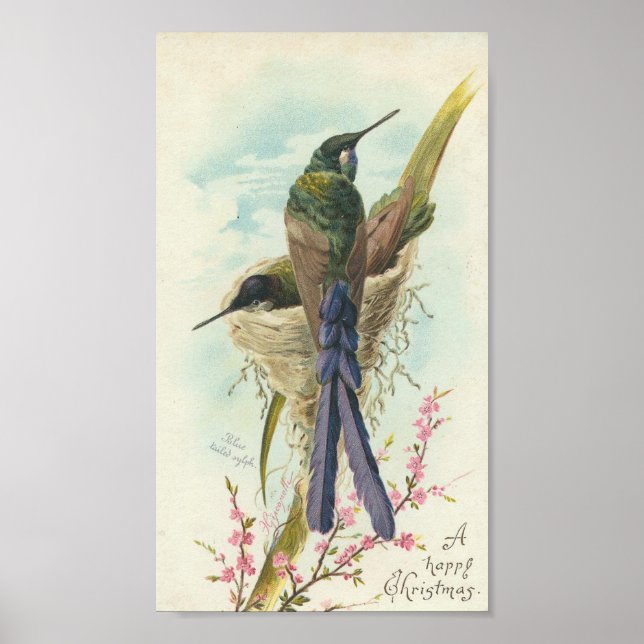 Poster Feliz Natal Vintage Hummingbird (Frente)