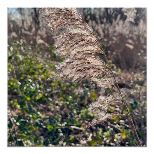 Póster Feliz outono. (Frente)