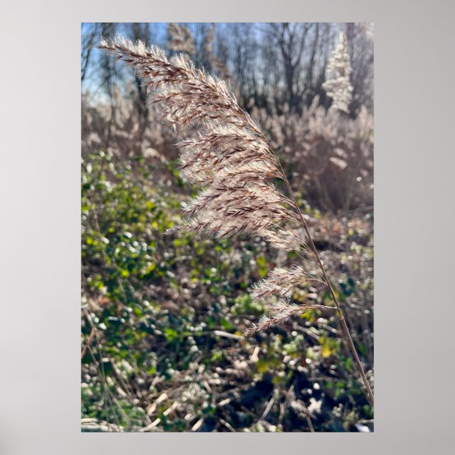 Poster Feliz outono. (Frente)