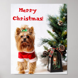 Poster Feliz Papais noeis de Natal Yorkie com a Árvore de