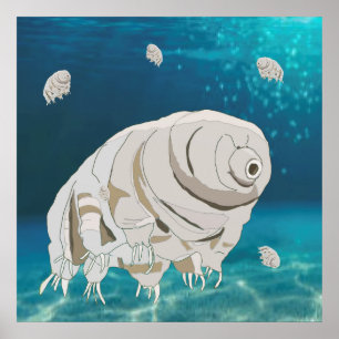 Poster Feliz Tardigrado flutuando debaixo d'água