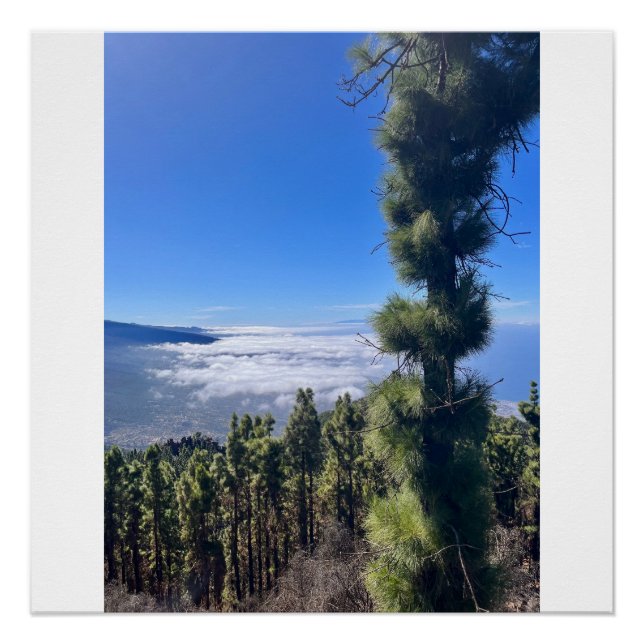 Póster Feliz Tenerife. (Frente)