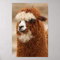Felpudo Llama