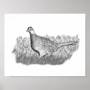 Póster Female Pheasant