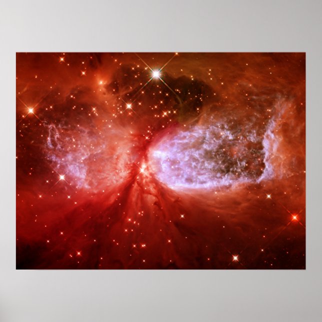 Póster Fênix (Frente)