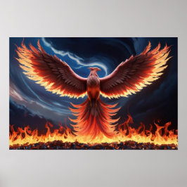 Poster Fenix Ardente Ressurge das Cinzas