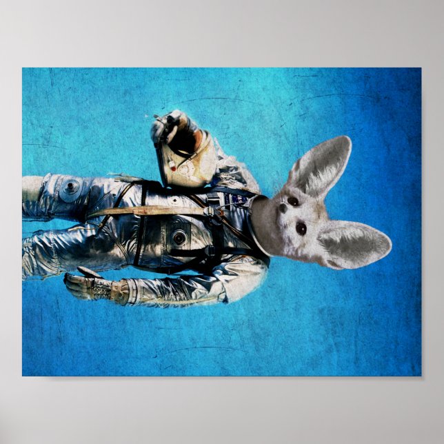 Póster Fennec, o capitão (Frente)