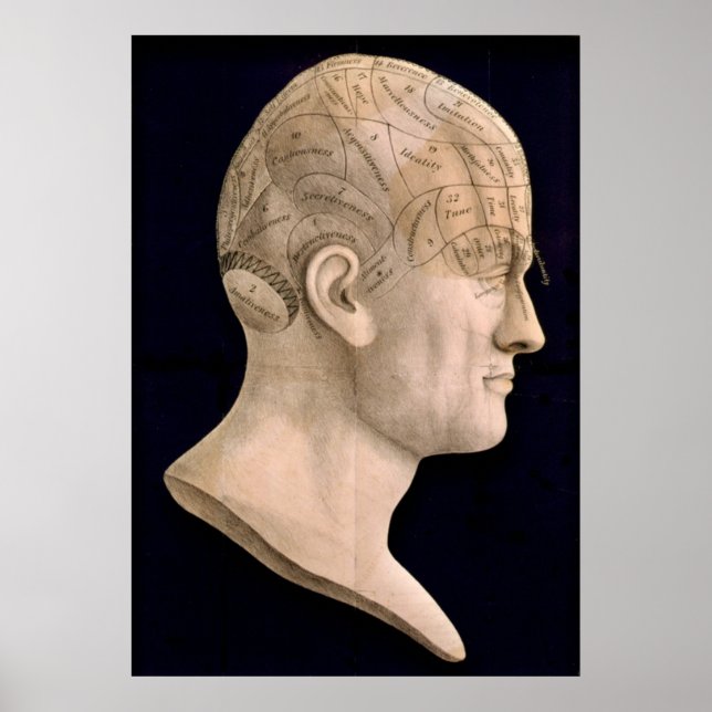 Póster Fenologia 1834 (Frente)