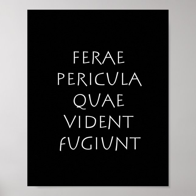 Poster Ferae pericula quae (Frente)