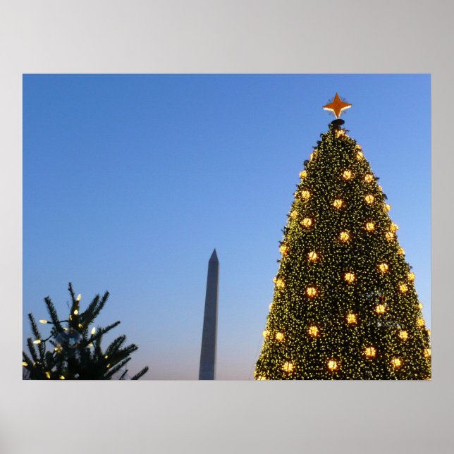 Poster Feriado das Árvores de Natal II em DC (Frente)