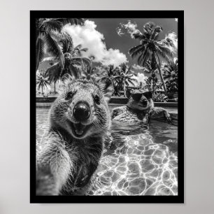 Poster Férias de selfie na piscina de quokka animal engra