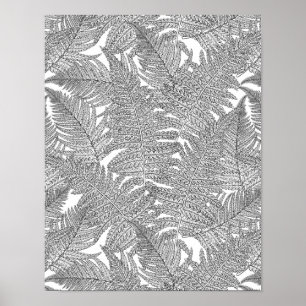Poster Fern em preto e branco