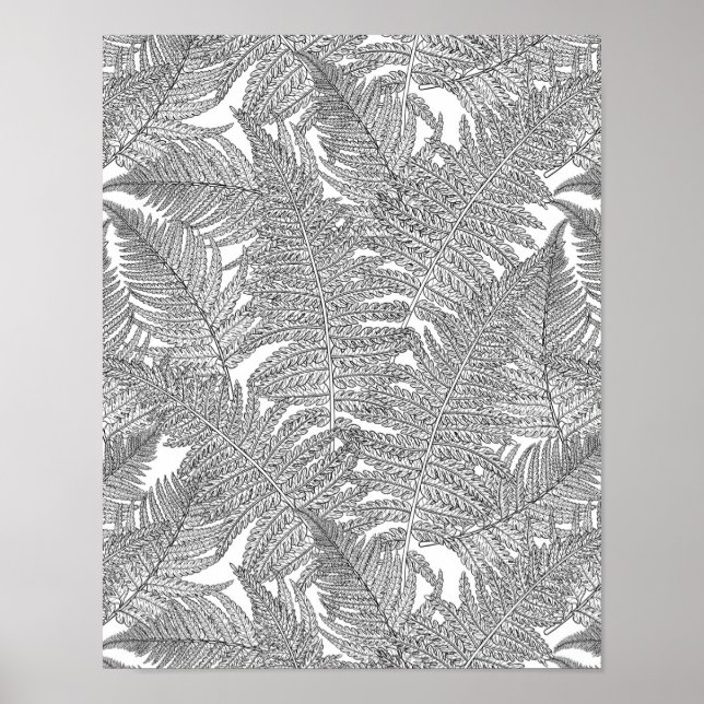 Poster Fern em preto e branco (Frente)