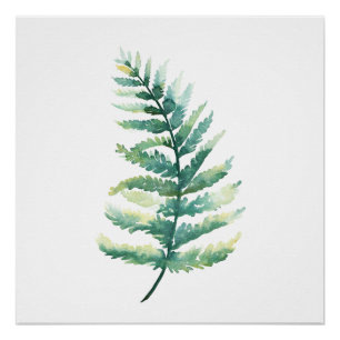 Póster Fern Frond Watercolor Poster