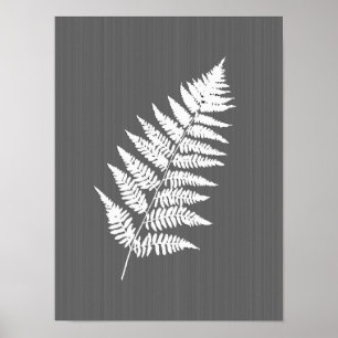 Poster Fern Frond, White on Charcoal Gray / Grey