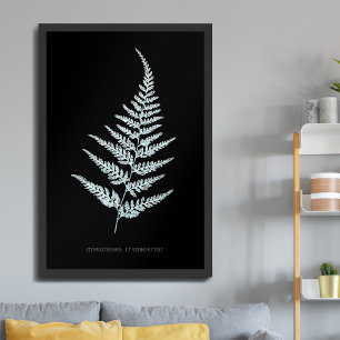 Poster Fern - Gymnogramma L’herminieri. Efeito de raios X