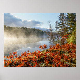 Poster Ferns na linha costeira   Paraíso, Michigan