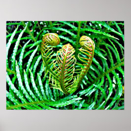 Poster Ferns Unfurling