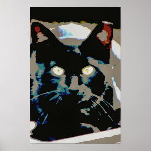 Poster feroz preto