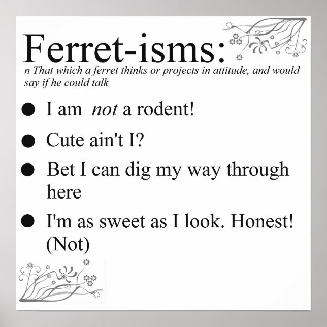 Póster Ferret Faces Sayings and Cotes (Frente)