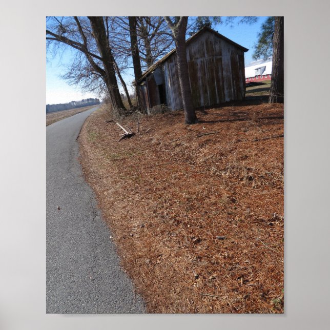 Poster Ferrugem (Frente)