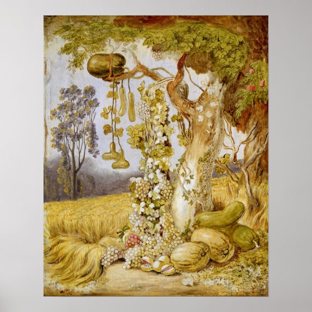 Poster Fertilidade da Terra (Frente)