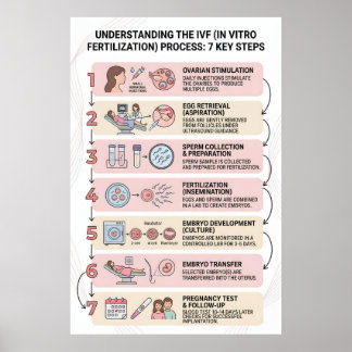 Poster Fertilização In Vitro (FIV) Processo Explicado: 7 
