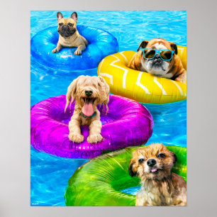 Poster Festa da Piscina do Cachorro