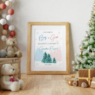 Poster Festa da Revelação do Gênero no Inverno de Natal