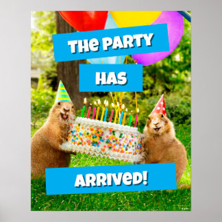 Poster Festa de Aniversário do Cão da Pradaria