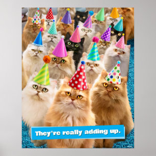 Poster Festa de Gatos