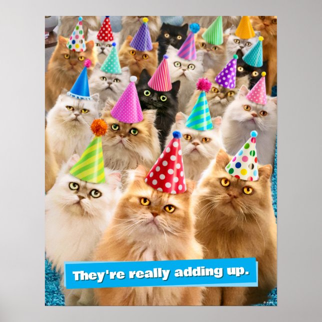 Poster Festa de Gatos (Frente)