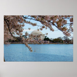 Poster Festival Cherry Blossom e Memorial Jefferson