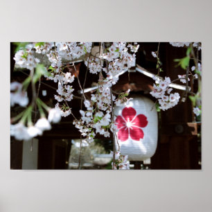 Poster Festival Cherry Blossom: Hirano Shrine, Quioto