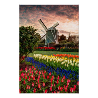 Póster Festival de Tulip